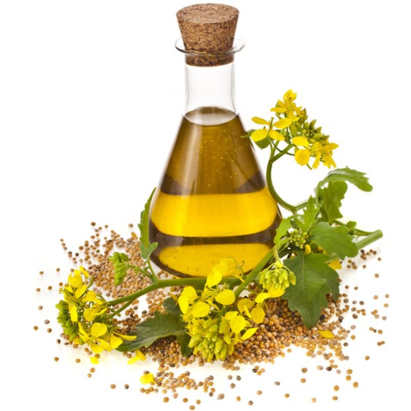 Mustard Oil – Pack of 5 (500ml each)